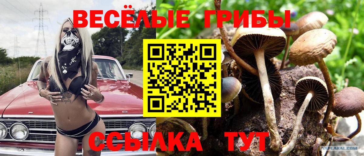 Галлюциногенные грибы Psilocybine cubensis  Вход с VPN  Воркута 